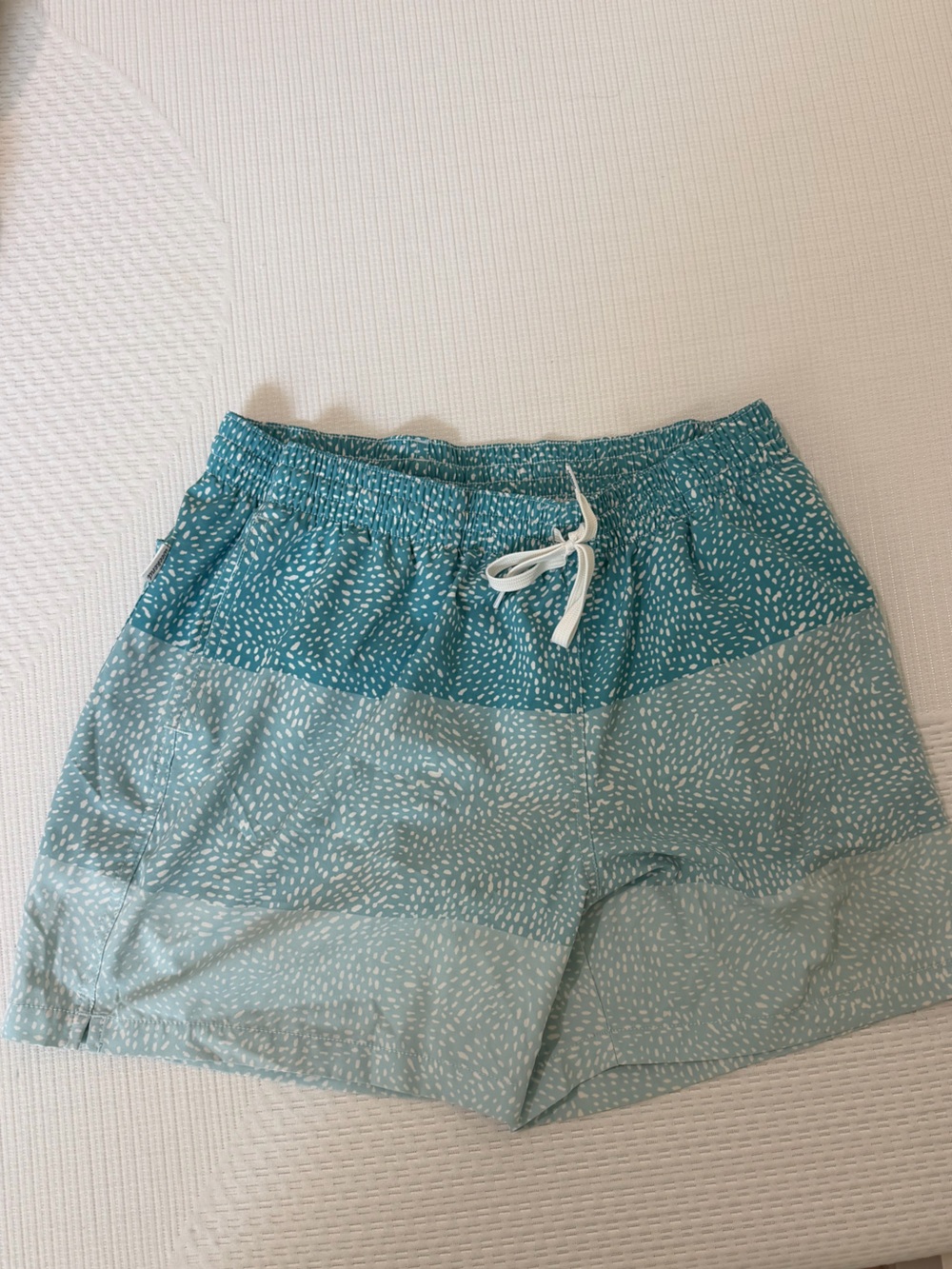 Men’s Chubbies Swim shortsLight Teal Patterned Drawstring Women's Shorts Size L